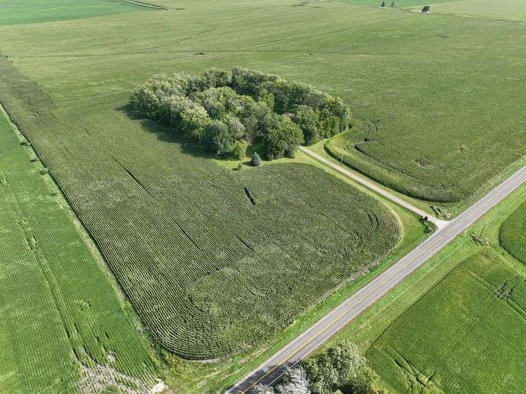 Live & Online 35 Acres Of Farmland and 5 Acre Building Site For The Donald "Donnie" Peterson Estate 