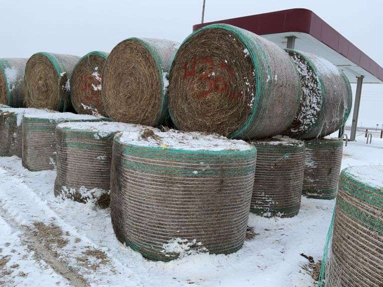 ** Lot will be sold times the money

(10) Net wrapped Round Grass Bales, 4x