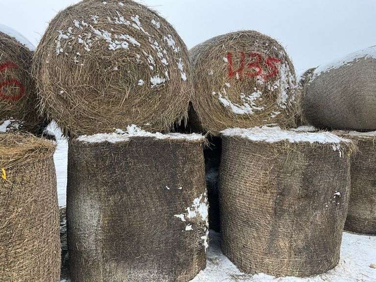 ** Lot will be sold times the money

(10) Net wrapped Round Grass Bales, 5x