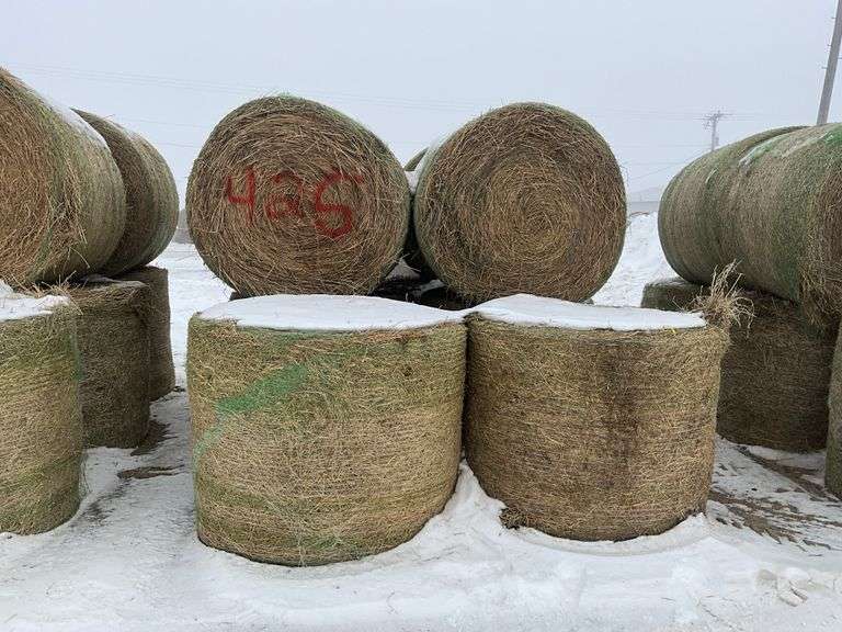 ** Lot will be sold times the money

(10) Net wrapped round 4ft grass/alfal
