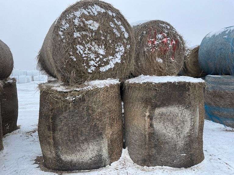 ** Lot will be sold times the money

(10) Net wrapped Round Grass Bales, 5x