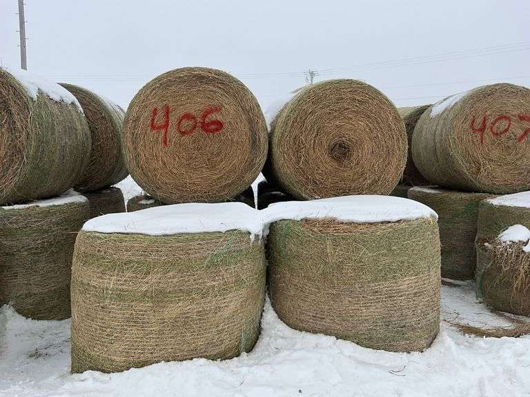 ** Lot will be sold times the money

(10) Net wrapped round 4ft grass/alfal
