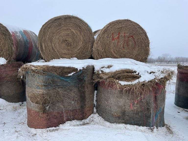 ** Lot will be sold times the money

(10) Net wrapped round 6x5 grass hay r