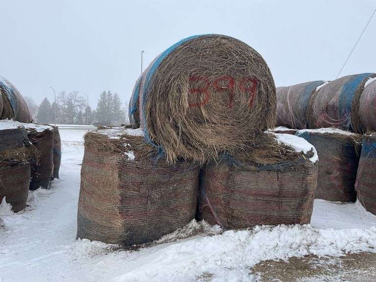 ** Lot will be sold times the money

(12) Net wrapped Round Grass Bales, 4x