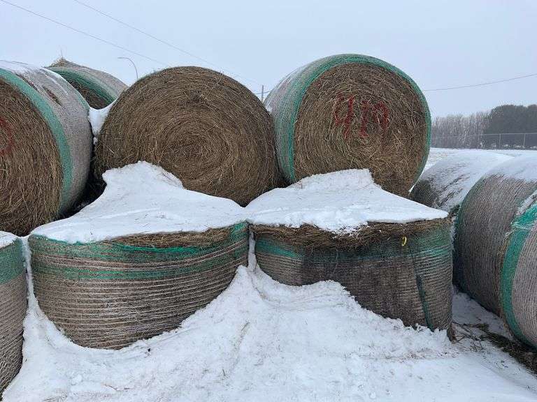 ** Lot will be sold times the money

(10) Net wrapped Round Grass Bales, 4x