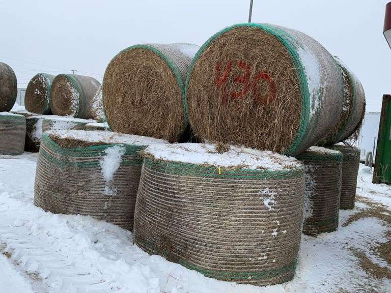 ** Lot will be sold times the money

(10) Net wrapped Round Grass Bales, 4x