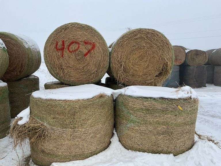 ** Lot will be sold times the money

(10) Net wrapped round 4ft grass/alfal