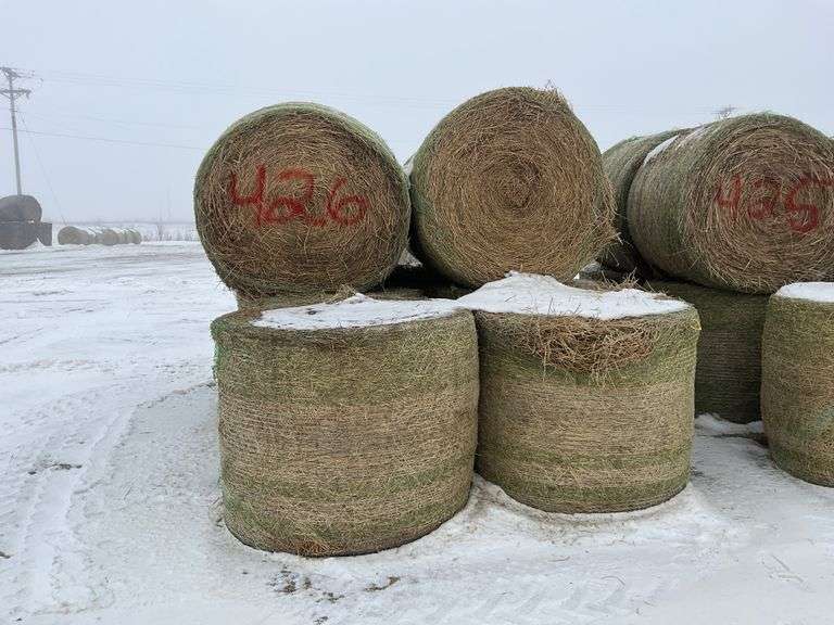 ** Lot will be sold times the money

(10) Net wrapped round 4ft grass/alfal