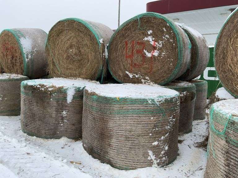 ** Lot will be sold times the money

(10) Net wrapped Round Grass Bales, 4x