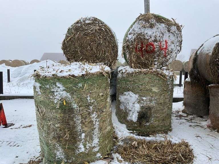 ** Lot will be sold times the money

(6) Net wrapped round 5x6 cornstalk ba