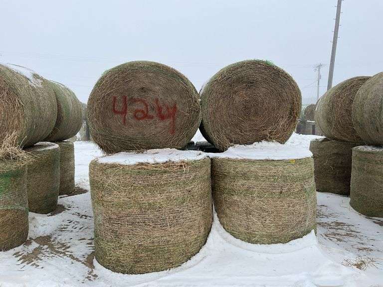 ** Lot will be sold times the money

(10) Net wrapped round 4ft grass/alfal