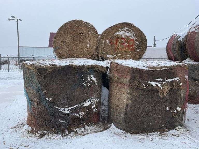** Lot will be sold times the money

(8) Net wrapped round 6x5 grass hay ro