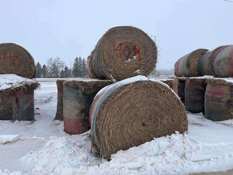 ** Lot will be sold times the money

(10) Net wrapped round 6x5 grass hay r