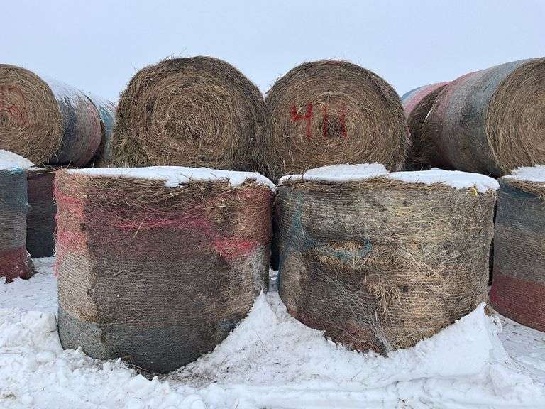** Lot will be sold times the money

(10) Net wrapped round 6x5 grass hay r