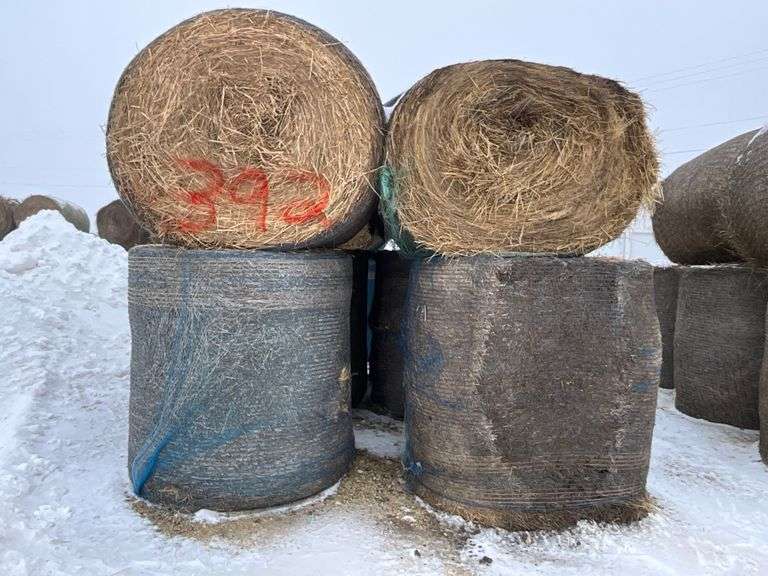 ** Lot will be sold times the money

(8) Net wrapped Round Grass Bales, 5x5