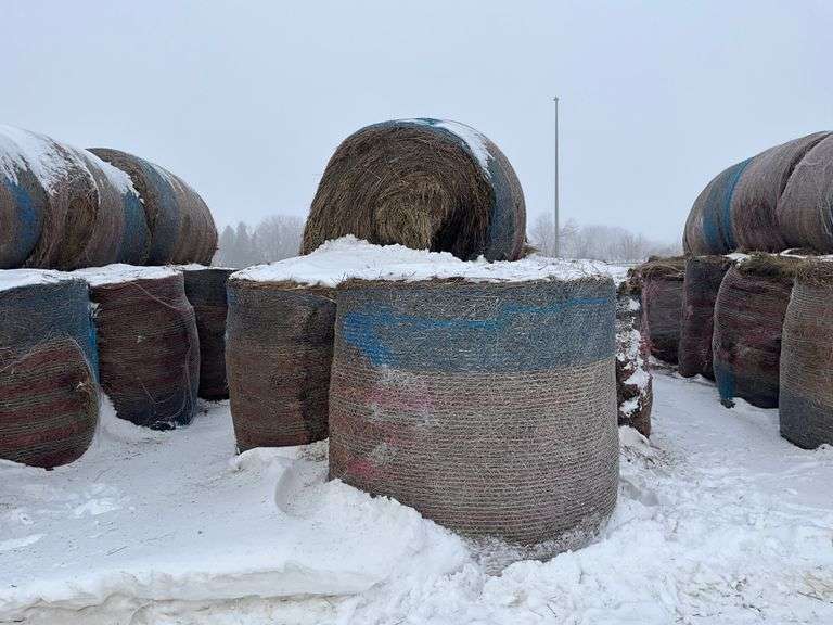 ** Lot will be sold times the money

(12) Net wrapped Round Grass Bales, 4x