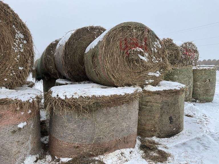 ** Lot will be sold times the money

(11) Net wrapped Round Grass Hay Bales