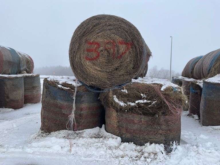 ** Lot will be sold times the money

(12) Net wrapped Round Grass Bales, 4x