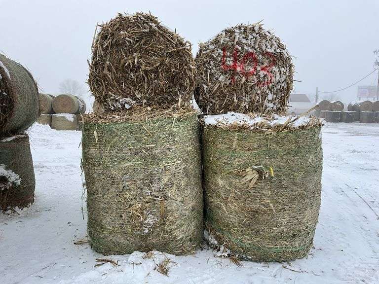 ** Lot will be sold times the money

(6) Net wrapped round 5x6 cornstalk ba