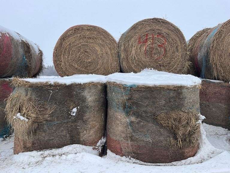 ** Lot will be sold times the money

(10) Net wrapped round 6x5 grass hay r