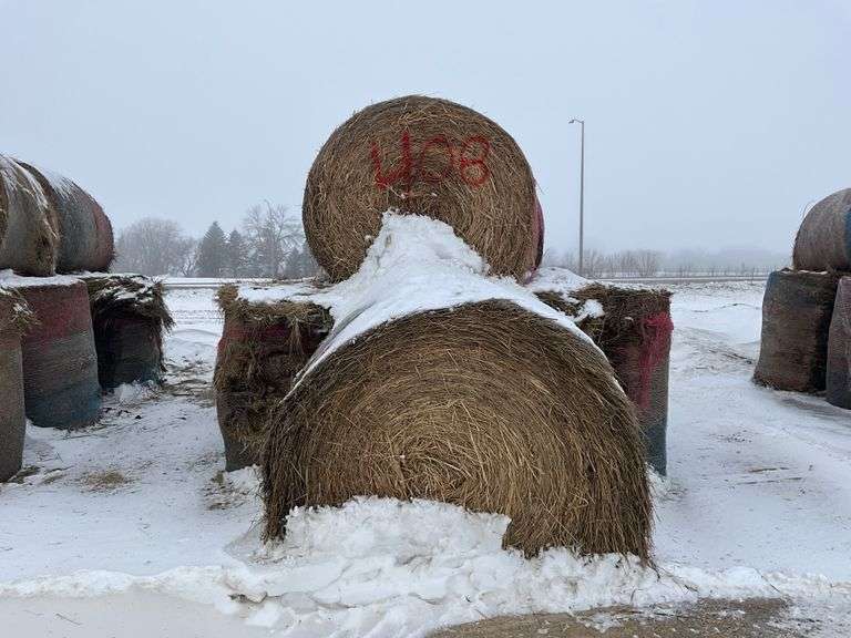 ** Lot will be sold times the money

(10) Net wrapped round 6x5 grass hay r