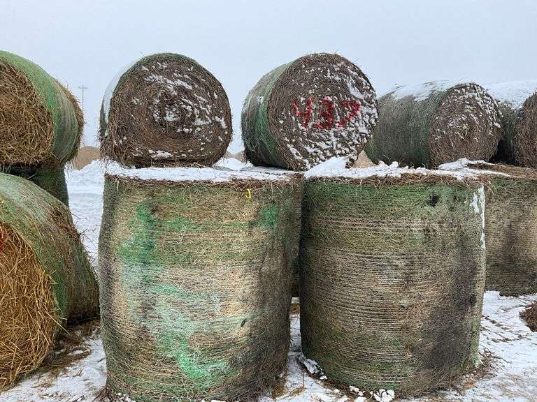 ** Lot will be sold times the money

(6) Net wrapped Round Hay Bales, 5x6