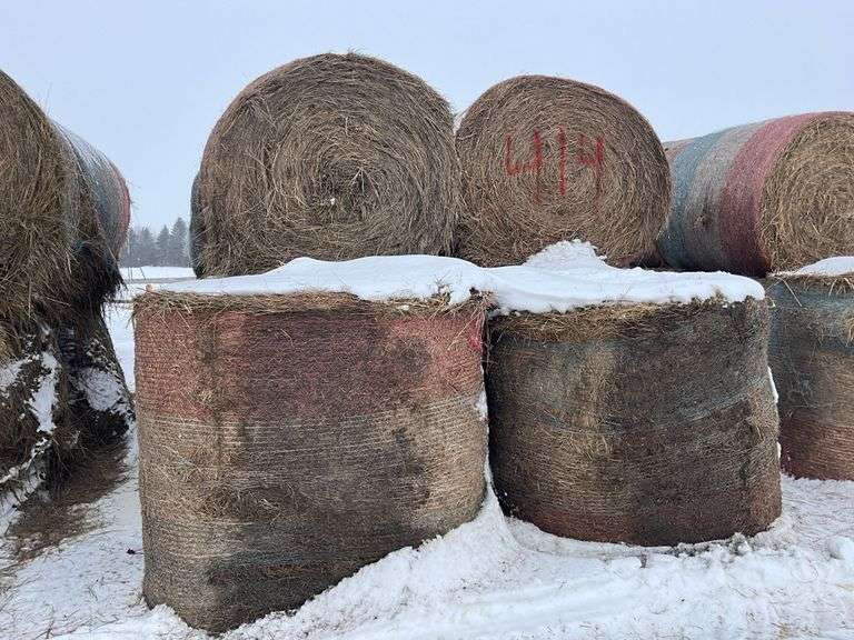 ** Lot will be sold times the money

(10) Net wrapped round 6x5 grass hay r