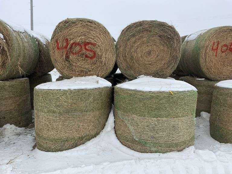 ** Lot will be sold times the money

(10) Net wrapped round 4ft grass/alfal