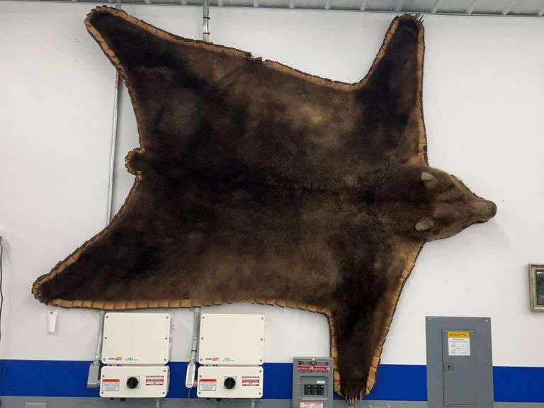 Alaskan Coastal Brown Bear “Speedy” Rug 84”x84” with Book “Bearoness of the