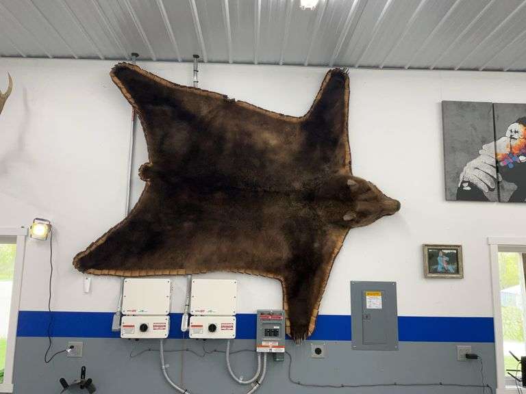 Grizzly Bear Rug 84”x84”