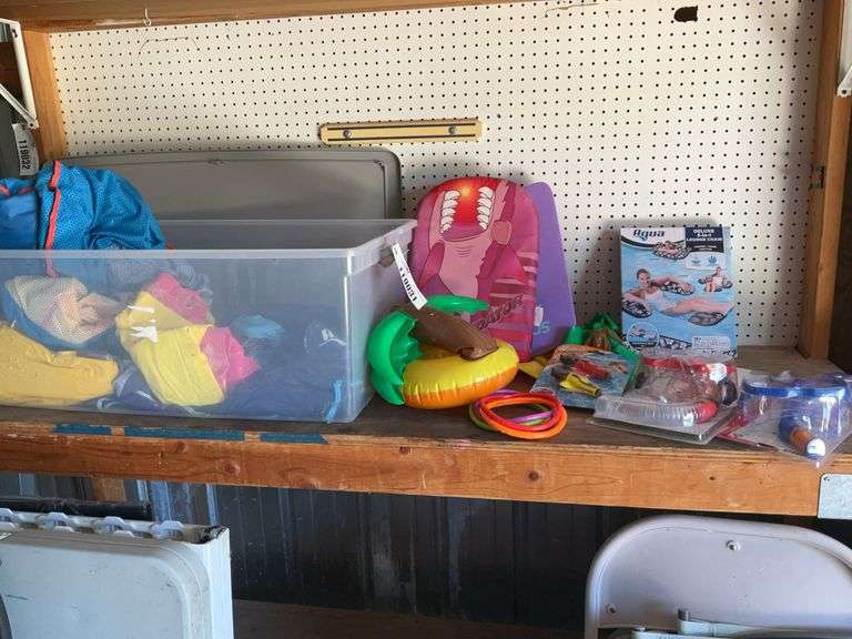 Tote of Pool Floater, Snorkel/Mask, Pool Game