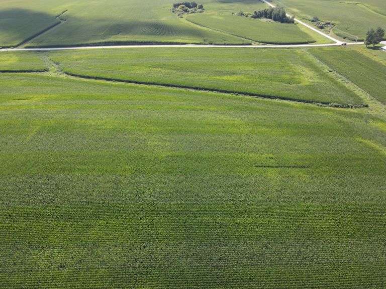 150± total acres 136± tillable acres 4.5± acres of timberland with mature w