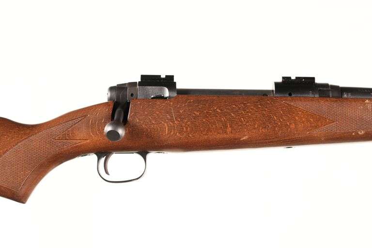 Savage 110 Bolt Rifle .270 win