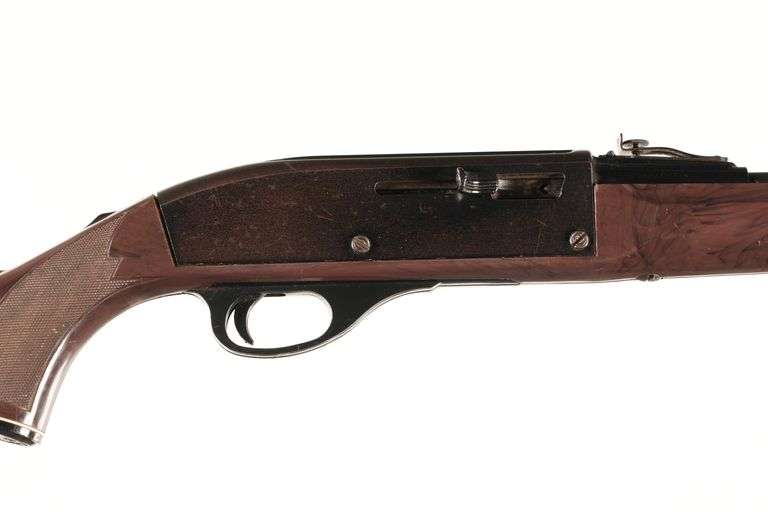 Remington Nylon 66 Semi Rifle .22 LR