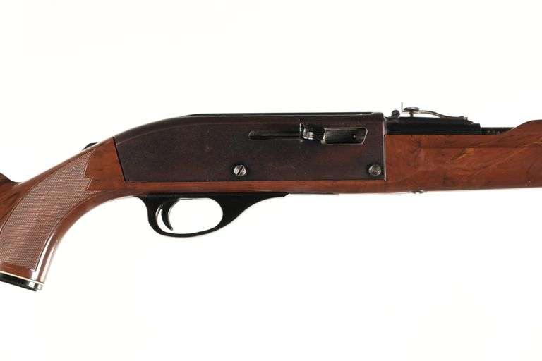 Remington Nylon 66 Semi Rifle .22 lr