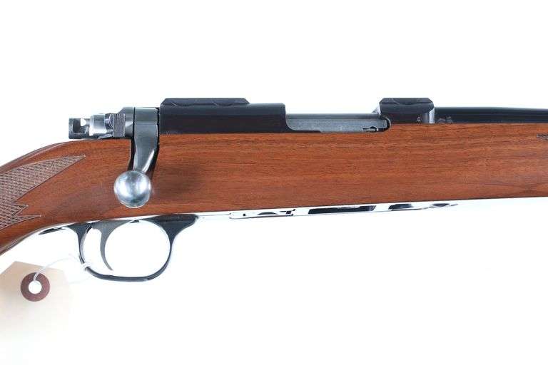 Ruger 77/17 Bolt Rifle .17 HMR