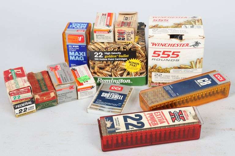 12 Boxes .22 Ammo - Montrose Auction, Inc