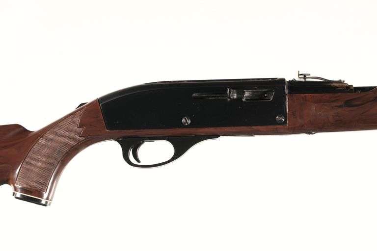 Remington 66 Semi Rifle .22 lr