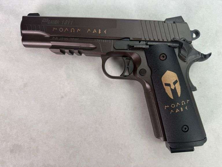 Sig Sauer 1911 Spartan Air Pistol BB Gun
