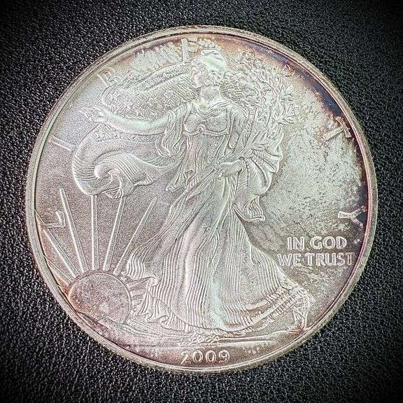 2009 American Eagle Silver Dollar $1 Fine
