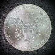2015 American Eagle Silver Dollar $1 Fine