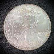 2005 American Eagle Silver Dollar $1 Fine