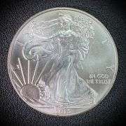 2013 American Eagle Silver Dollar $1 Fine