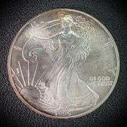1995 American Eagle Silver Dollar $1 Fine