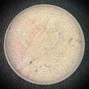 1922-D Peace Silver Dollar $1