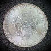 2011 American Eagle Silver Dollar $1 Fine