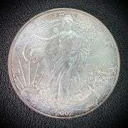 2002 American Eagle Silver Dollar $1 Fine