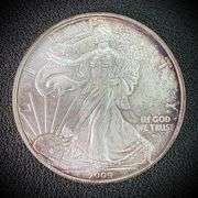 2009 American Eagle Silver Dollar $1 Fine