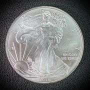 2015 American Eagle Silver Dollar $1 Fine