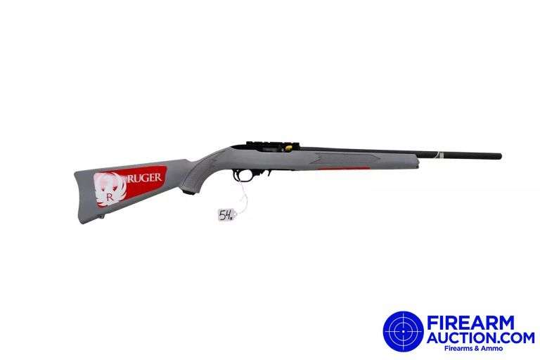 Ruger Model 10/22 Semi-Auto Rifle - 22 LR - SN: 0015-87729